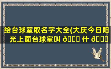 给台球室取名字大全(大庆今日阳光上面台球室叫 🐛 什 🐒 么名字)